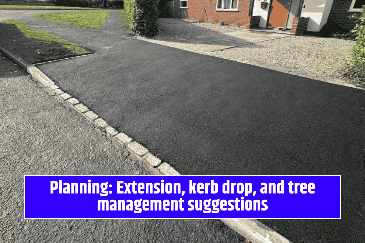 Planning: Extension, kerb drop, and tree management suggestions