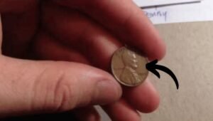 The Lincoln Wheat Penny Valued at $9990K , Still in Circulation